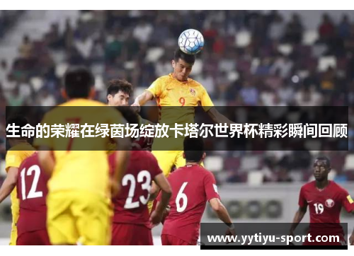生命的荣耀在绿茵场绽放卡塔尔世界杯精彩瞬间回顾