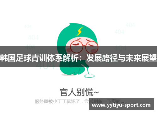 韩国足球青训体系解析：发展路径与未来展望